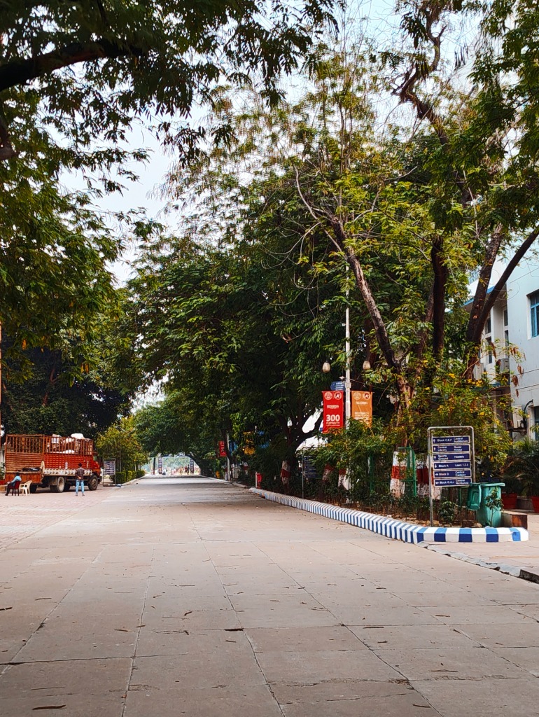 Tree-lined Campus Roads